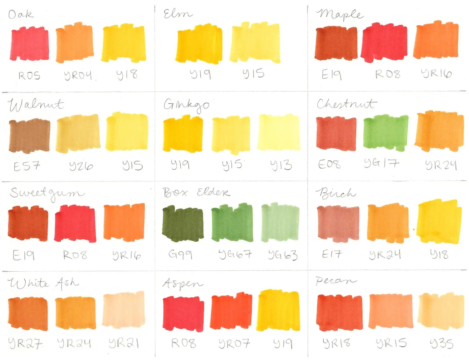 Nature Doodle Leaves