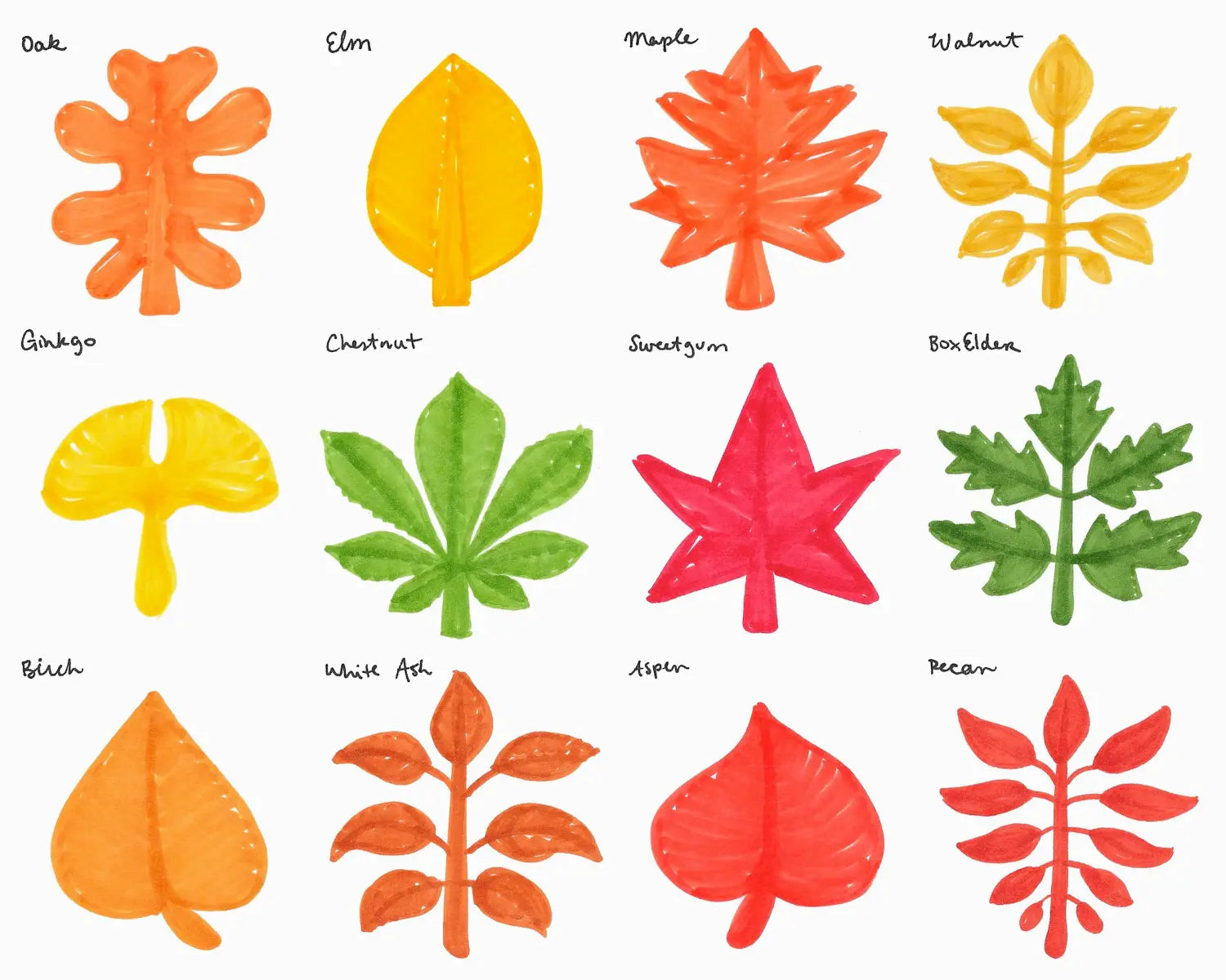 Nature Doodle Leaves