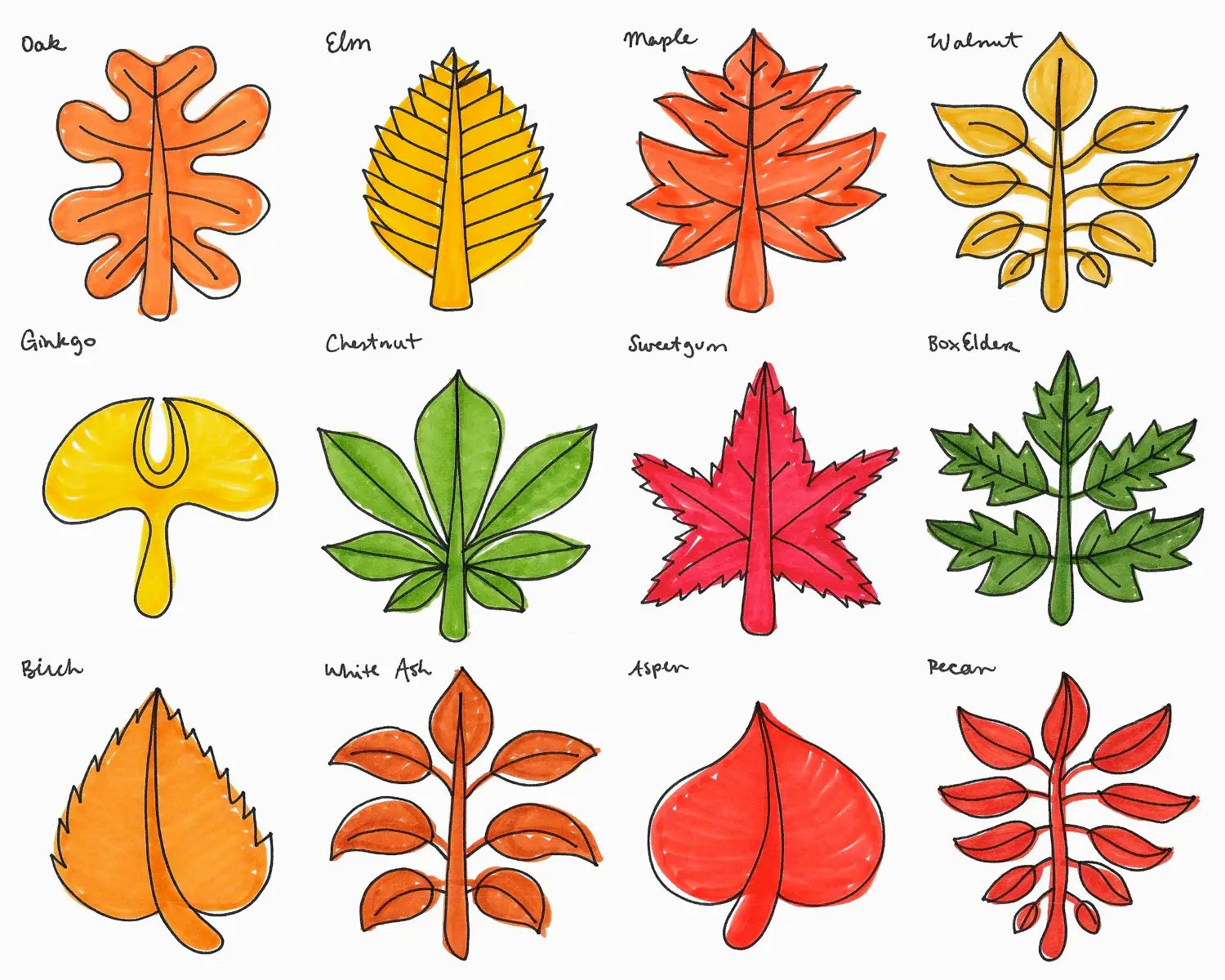 Nature Doodle Leaves