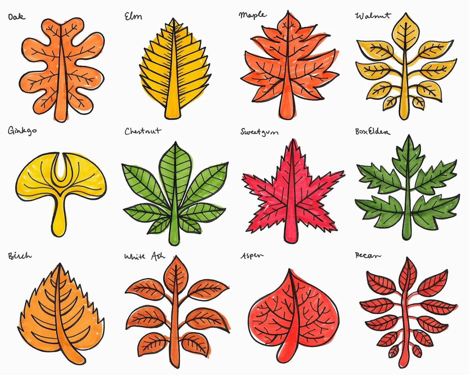 Nature Doodle Leaves