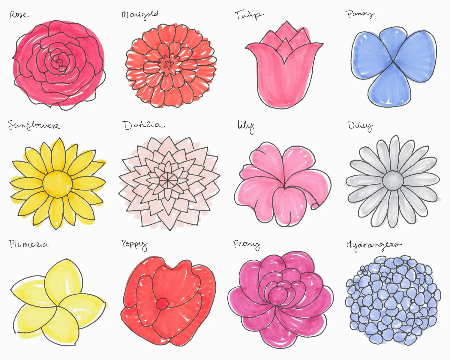 Nature Doodle Flowers