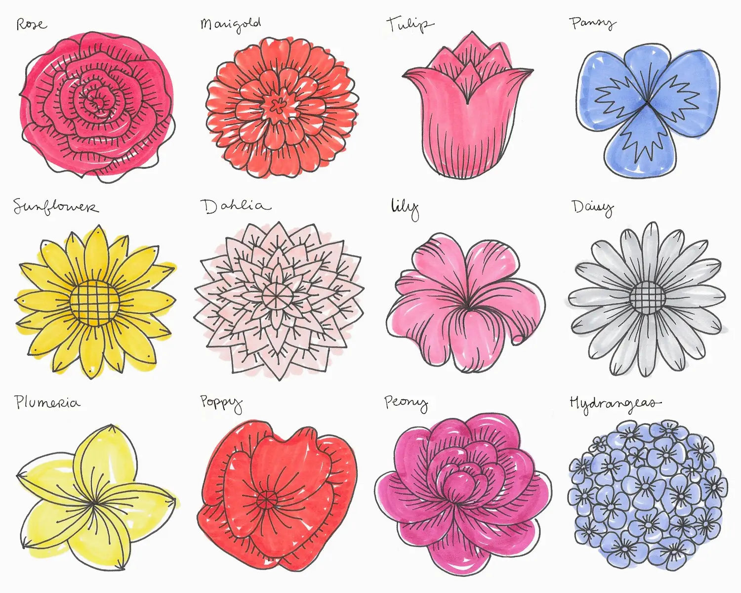 Nature Doodle Flowers