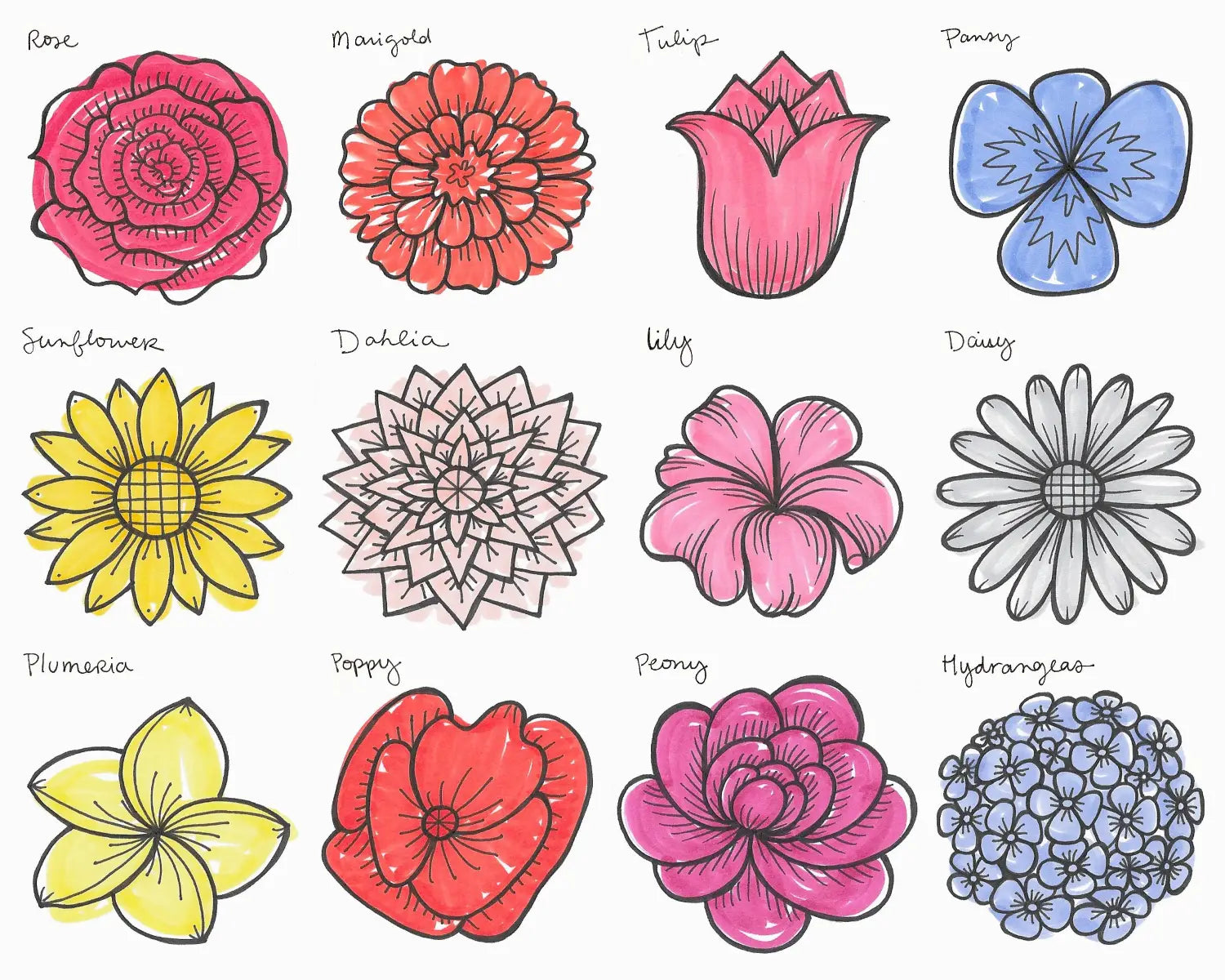 Nature Doodle Flowers