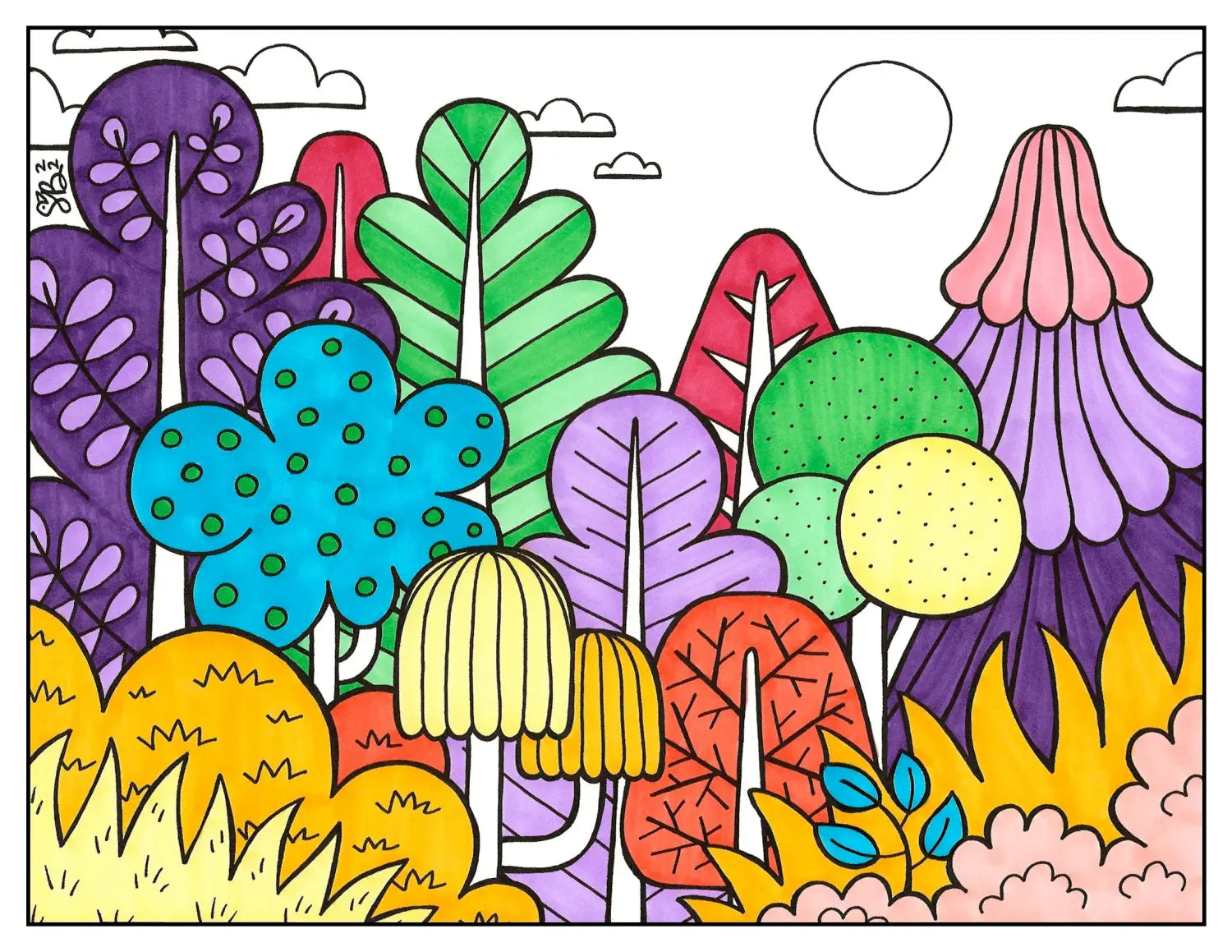 Forest SUMMER Palette